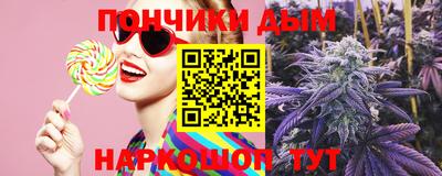 амф Новодвинск