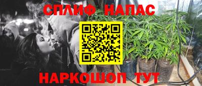 амф Новодвинск
