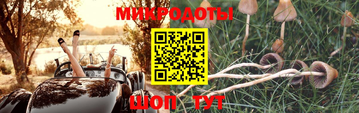 Галлюциногенные грибы прущие грибы Псков