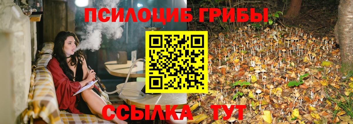 Псков  Галлюциногенные грибы Psilocybe  Вход с VPN  Галлюциногенные грибы Psilocybine cubensis 